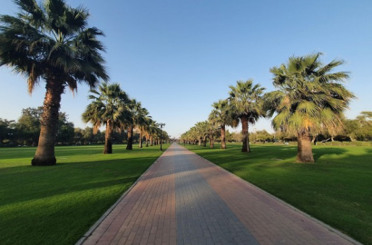 حدائق دبي: ما هي أجمل 5 حدائق في دبي يوصى بزيارتها؟