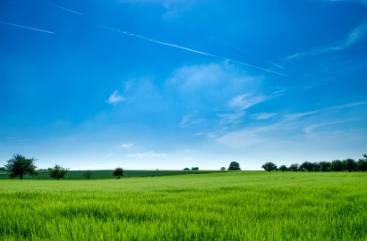 Best Areas to Buy a Land in Dubai