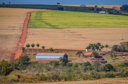 6 Farms in UAE Worth Visiting by Nature Lovers